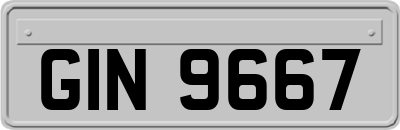 GIN9667
