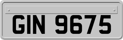 GIN9675