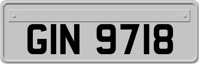 GIN9718