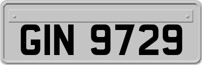 GIN9729