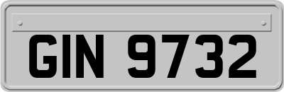 GIN9732