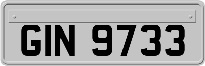 GIN9733