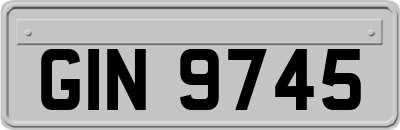 GIN9745