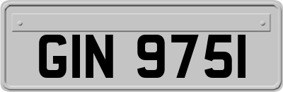 GIN9751