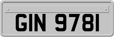 GIN9781