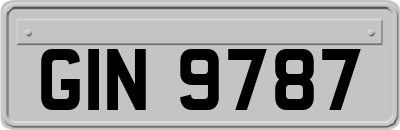GIN9787