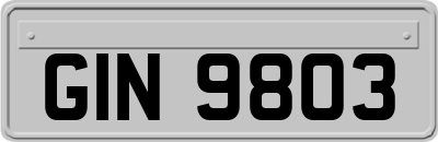 GIN9803