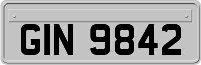 GIN9842