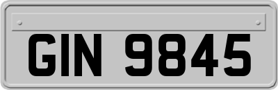 GIN9845