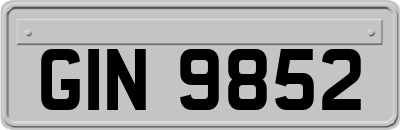 GIN9852