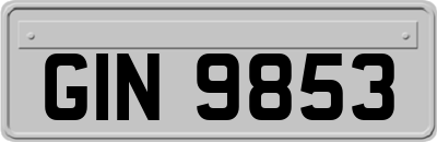 GIN9853