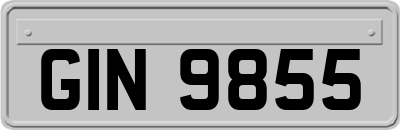 GIN9855