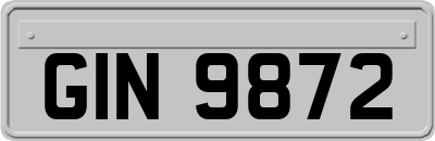 GIN9872