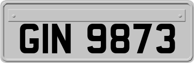 GIN9873