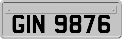 GIN9876