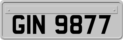 GIN9877
