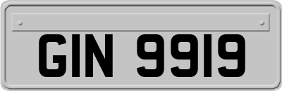 GIN9919