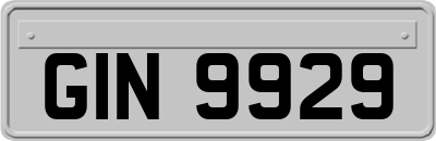 GIN9929