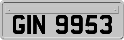 GIN9953