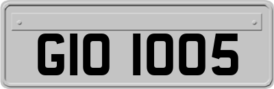 GIO1005