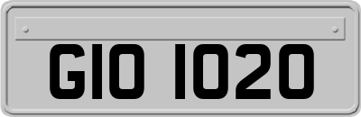 GIO1020
