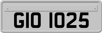 GIO1025