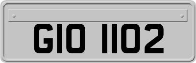 GIO1102