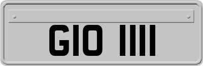 GIO1111