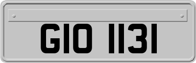 GIO1131
