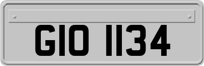 GIO1134