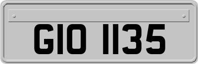 GIO1135
