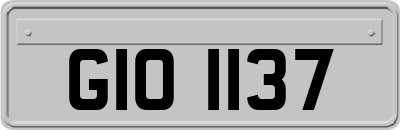 GIO1137