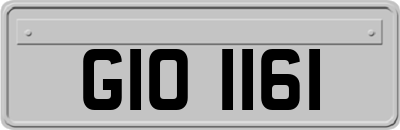 GIO1161