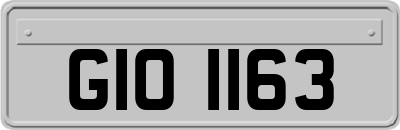 GIO1163