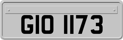 GIO1173