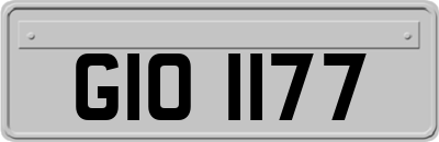 GIO1177