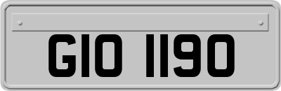 GIO1190