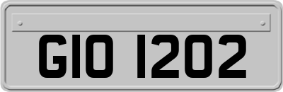 GIO1202
