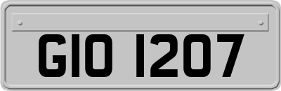 GIO1207