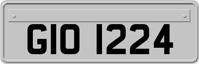 GIO1224