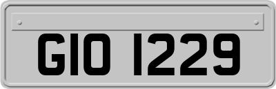 GIO1229