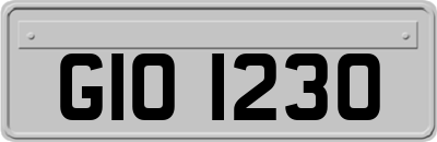 GIO1230