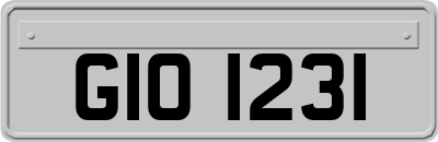 GIO1231