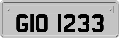 GIO1233