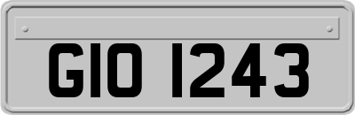 GIO1243