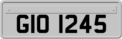 GIO1245