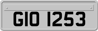 GIO1253