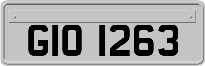 GIO1263