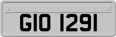 GIO1291