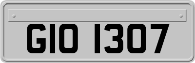 GIO1307